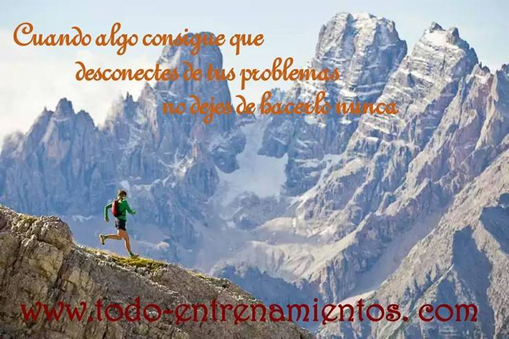 1520600_629576983746771_45929671_n