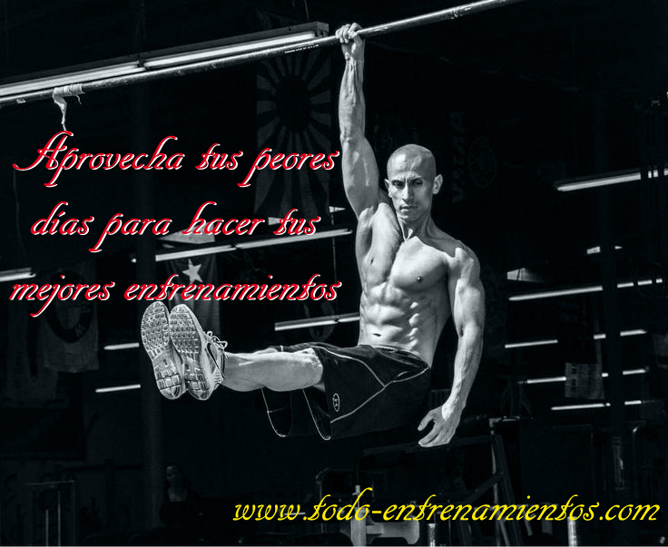 590966aebb532bdddd916e9e1350de22 copia