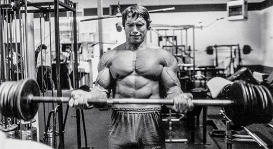 arnold-blueprint_mass-training_graphics-3